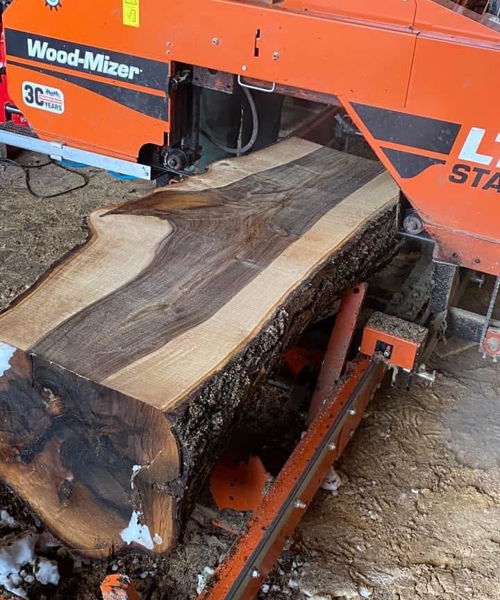 Woodmizer LT15 sägt einen Nussbaum-Stamm zu einer Bohle mit Naturkante