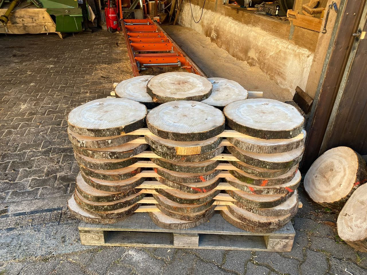 Baumscheiben auf einer Palette