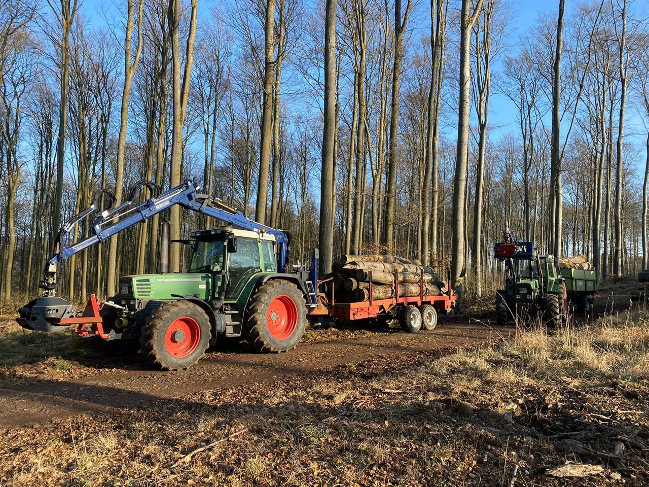 Fendt mit Holzkran und Rückewagen im Wald